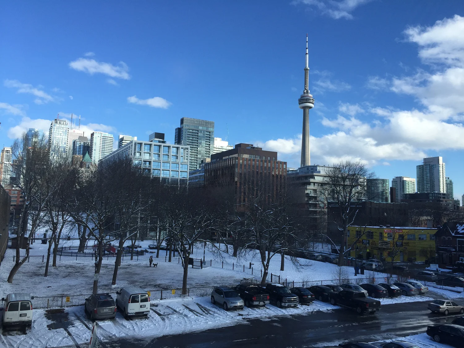 View from the Office