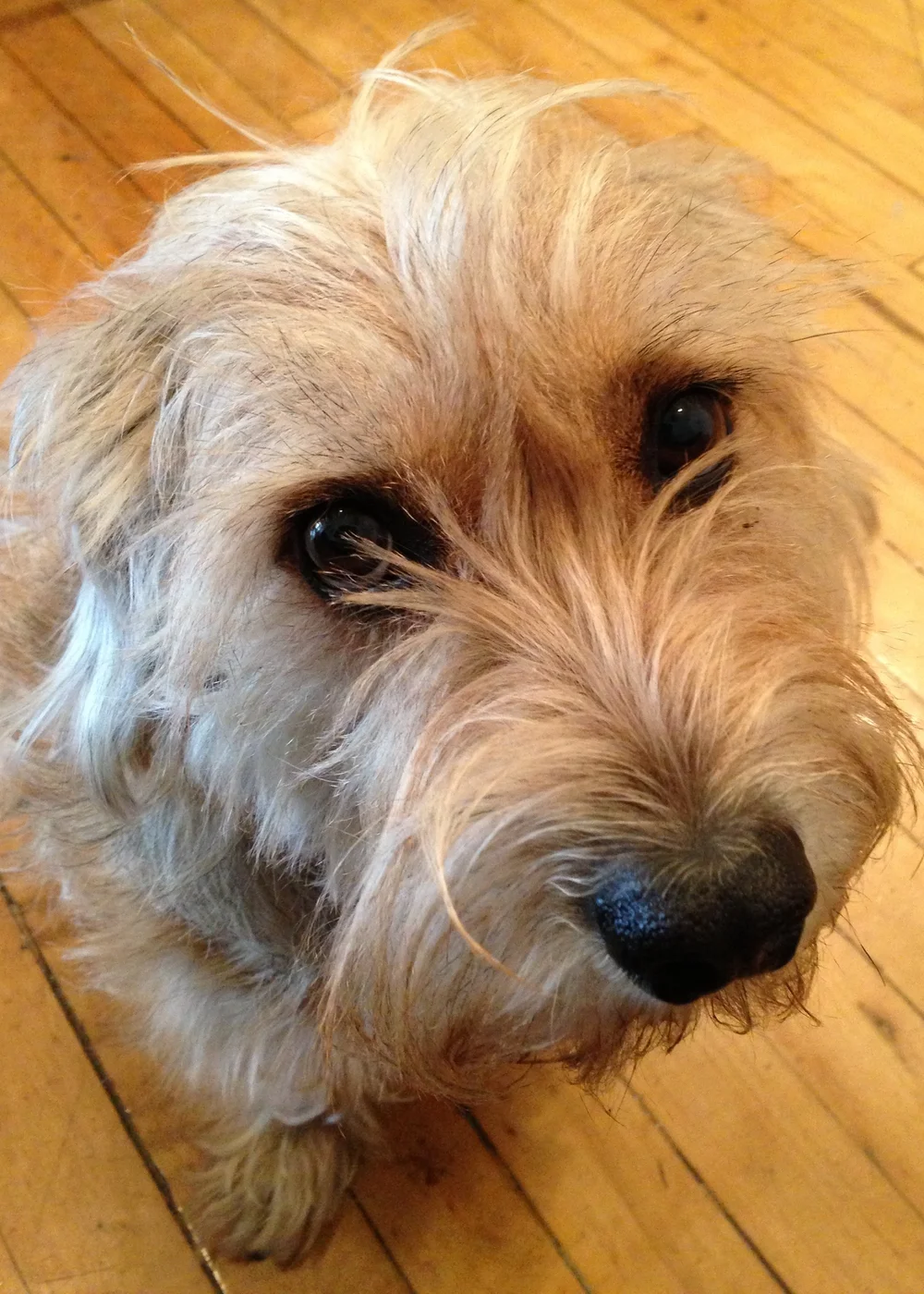 Newton, Director of First Impressions (He doesn't need no stinkin' extension!)